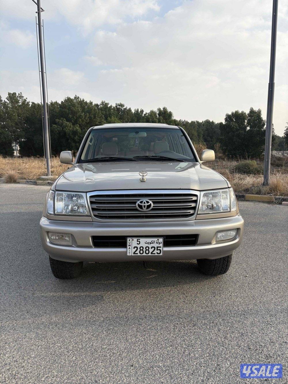 وارد الساير صبغ الوكاله ماعدا 3  قطع2