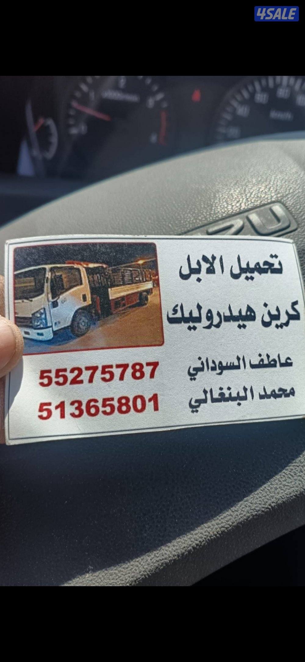 شراء ابل ونقل0