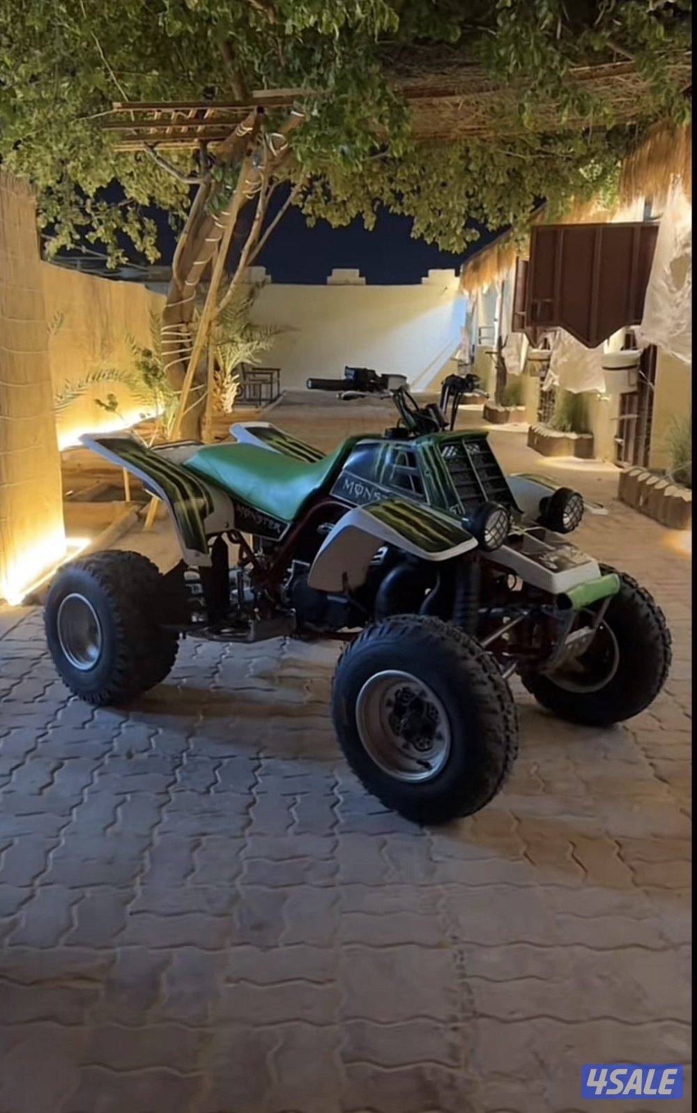 بانشي مخزن من 2015 نظيفف1