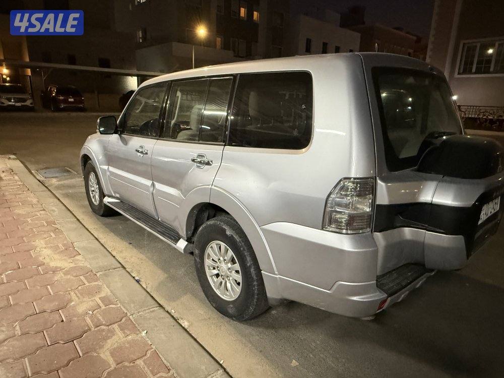 باجيرو 2015 صبغ الوكالة2