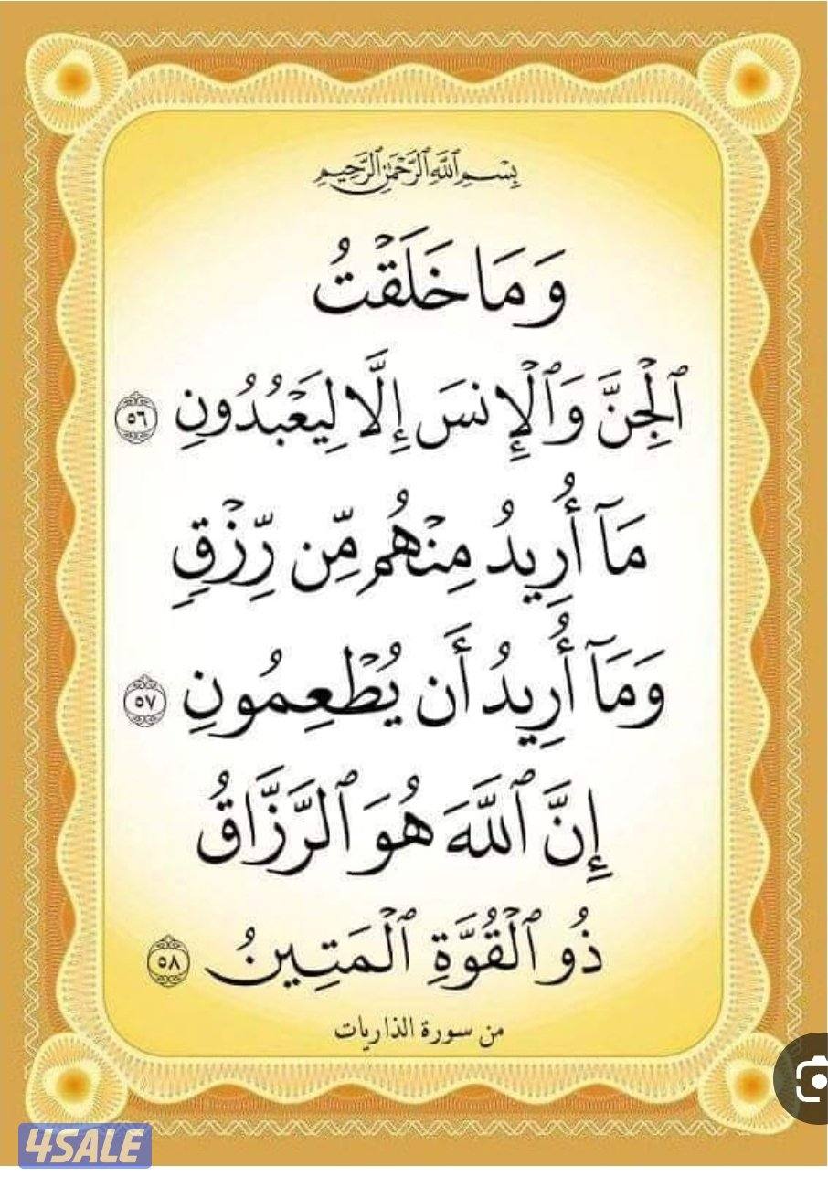 ابحث عن عمل سواق بعيد عن مجال توصيل طلبات معاي رخصه عامه اسوق قير عادي0