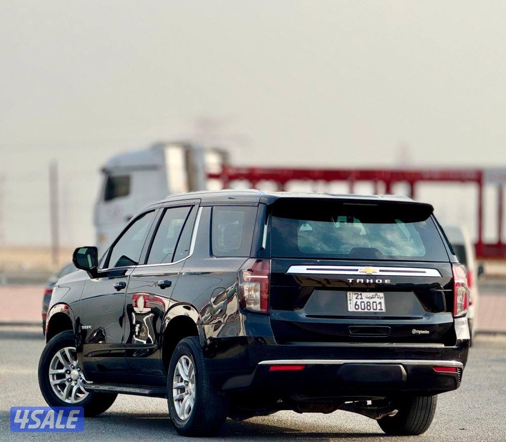 تاهو الغانم صبغ وكتله 20236