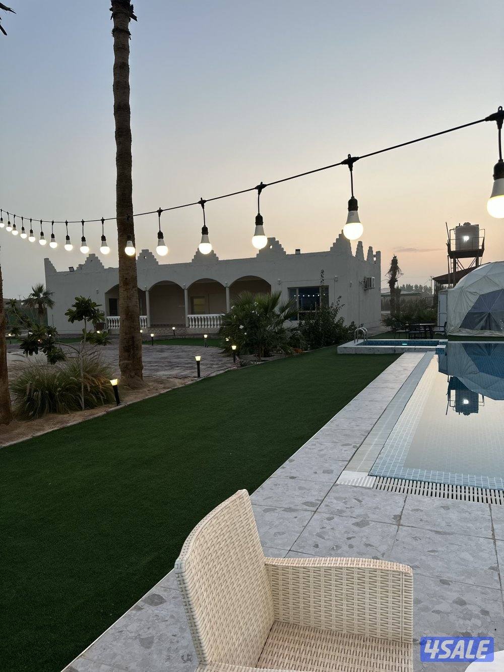 مزرعه كوينز لاند العبدلي2