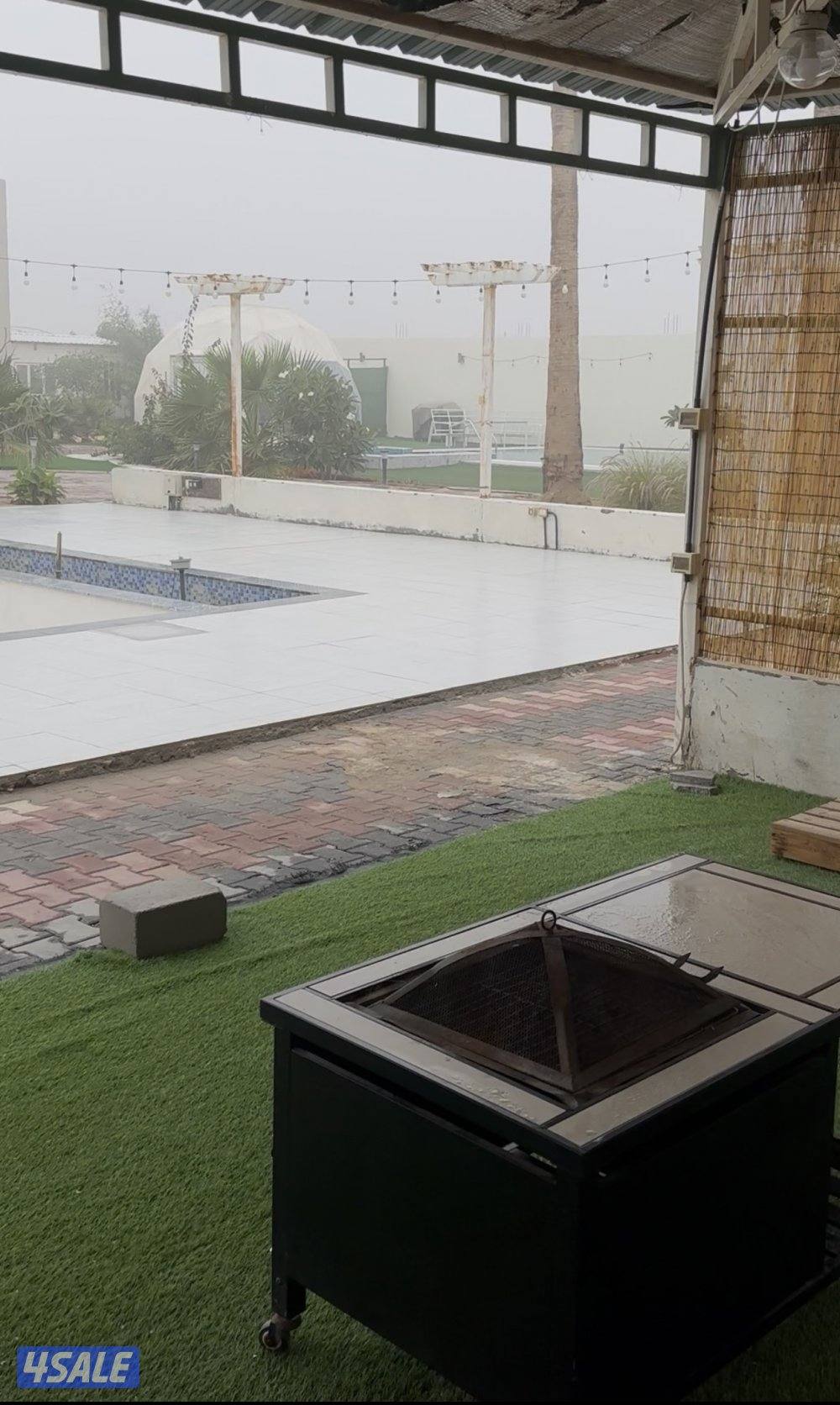 مزرعه كوينز لاند العبدلي3