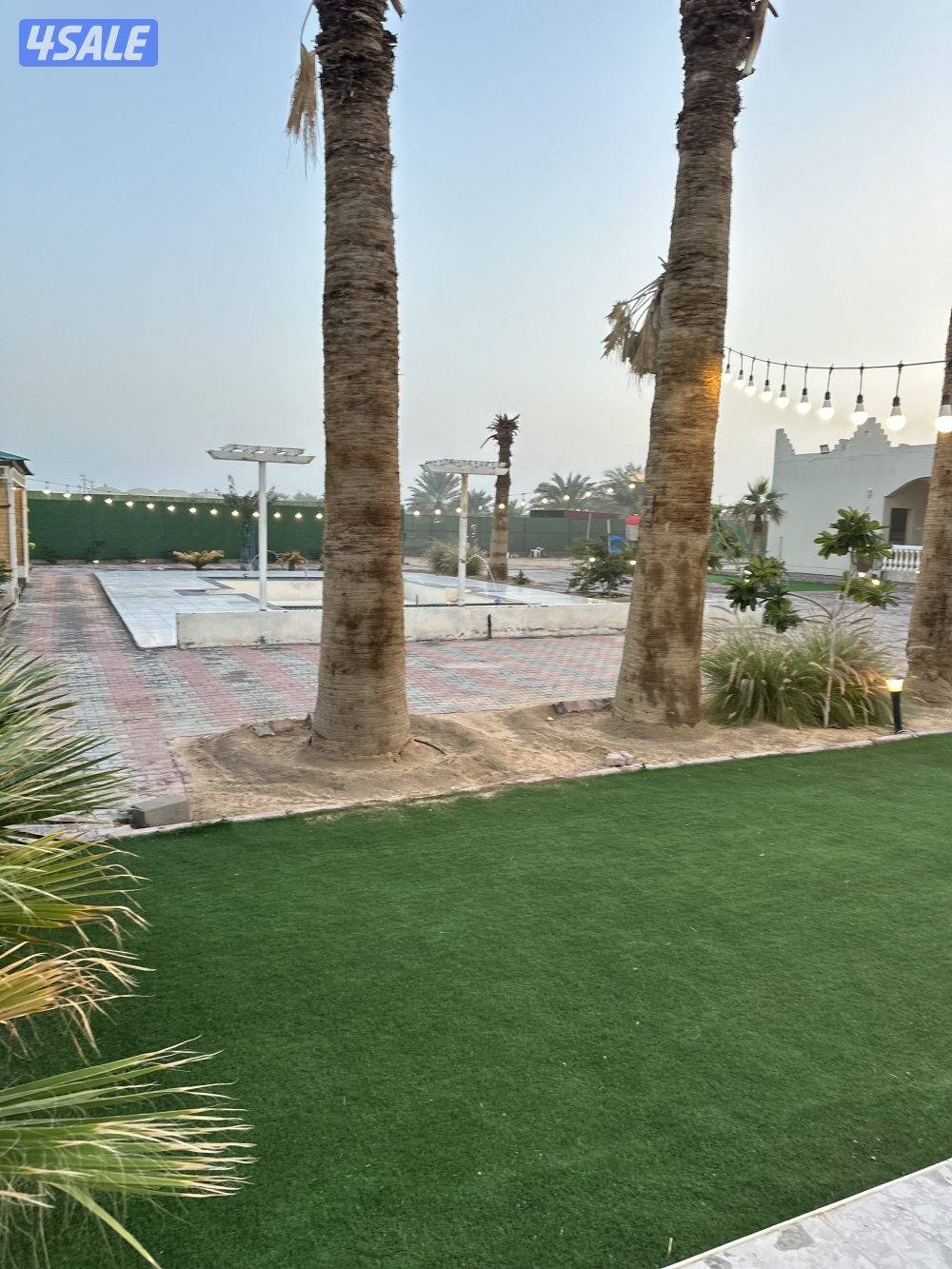 مزرعه كوينز لاند العبدلي5