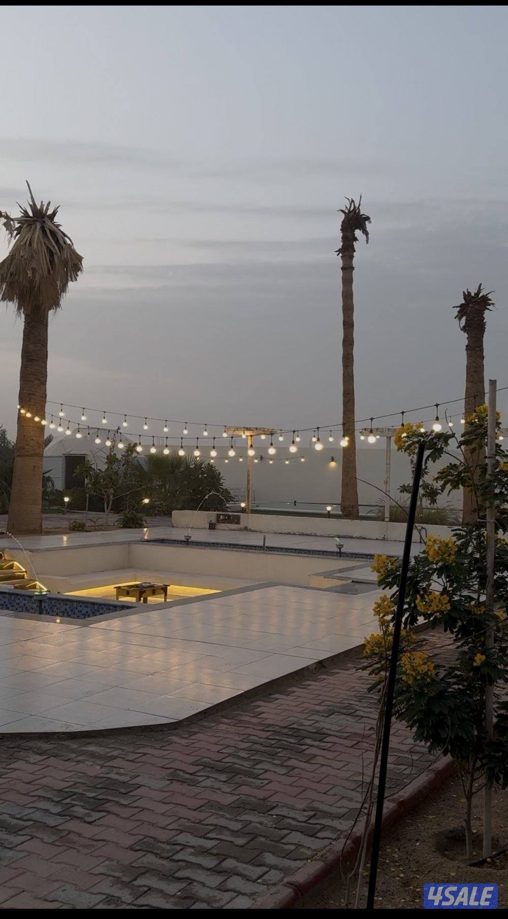 مزرعه كوينز لاند العبدلي0