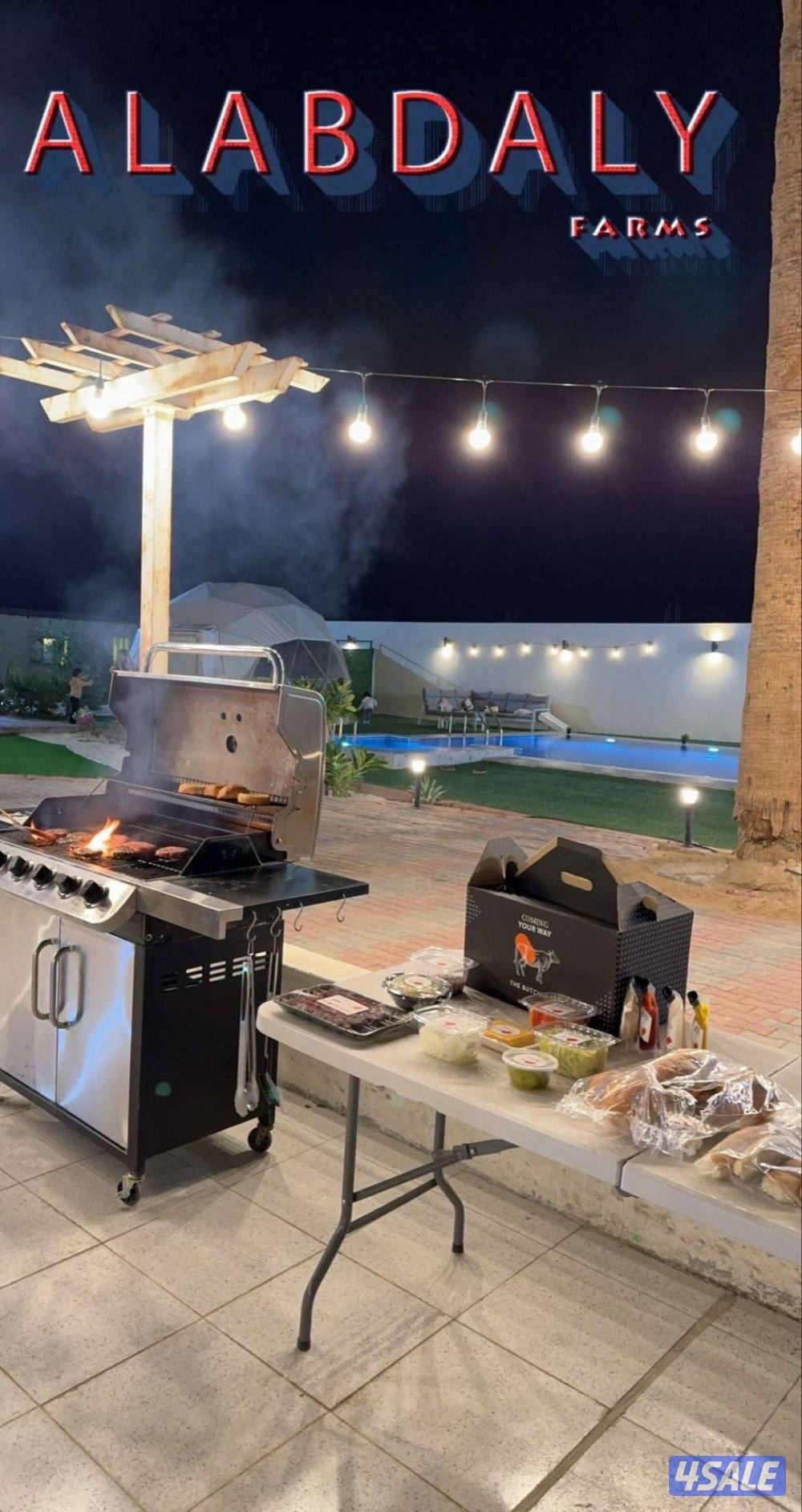 مزرعه كوينز لاند العبدلي13