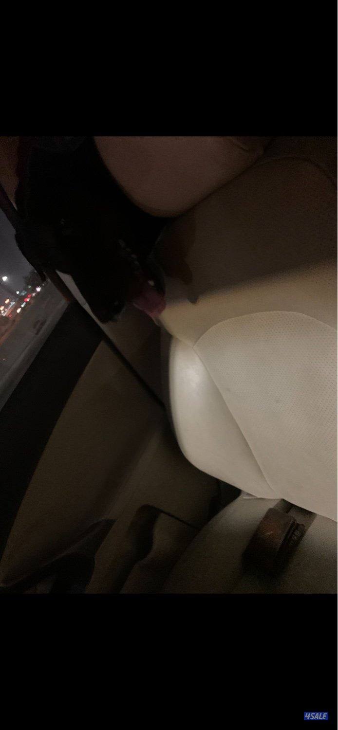 للبيع كلب دوبرمان ذكر1