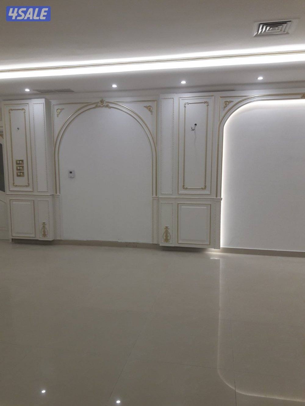 عالم الاصباغ6