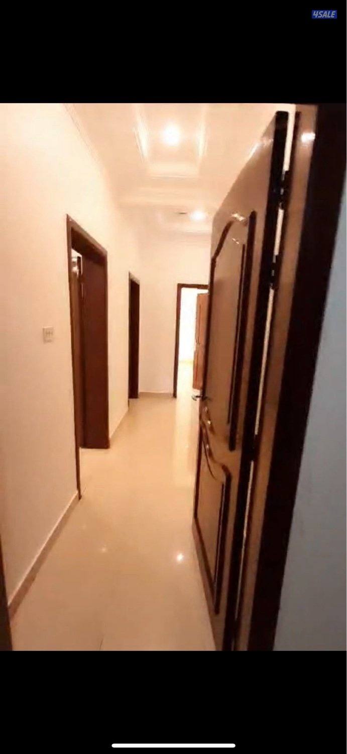 شقه للايجار1