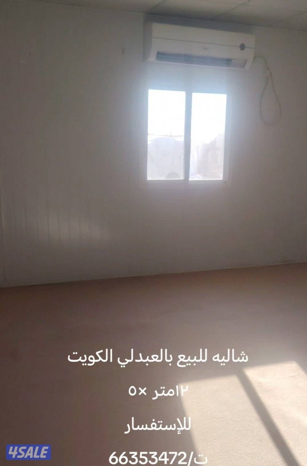 مزراع العبدلي قطعة 11