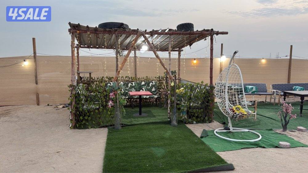 للإيجار مخيم مرتب وواسع أربع خيام وقعده شعبيه شغل vip1