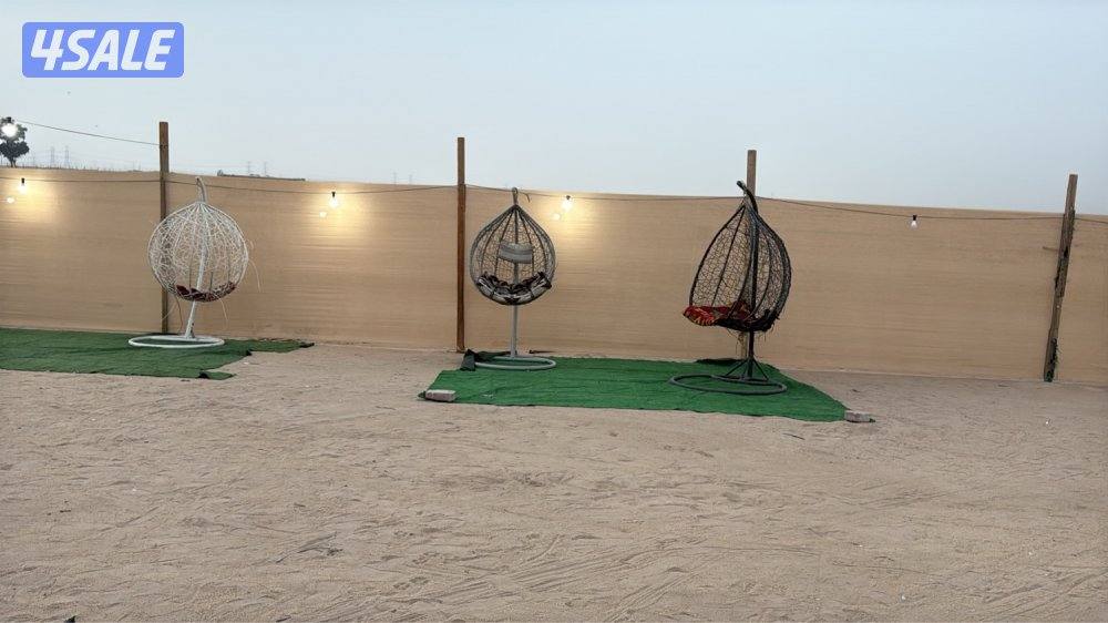 للإيجار مخيم مرتب وواسع أربع خيام وقعده شعبيه شغل vip10