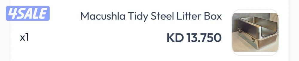 انثى برتش قولدن شيدد11