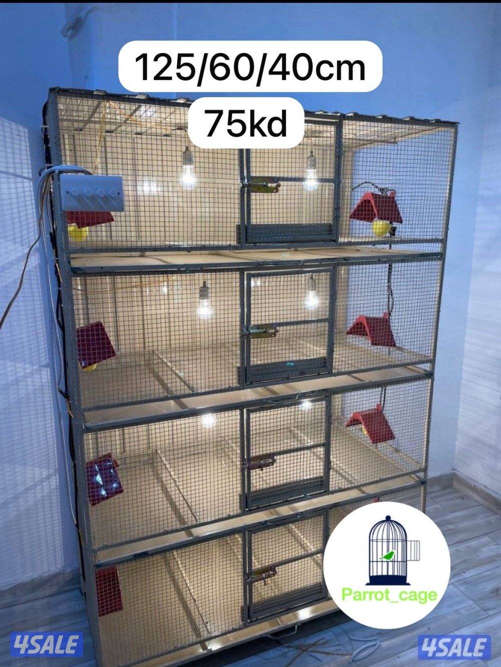 حضانة صيصان عالطلب15