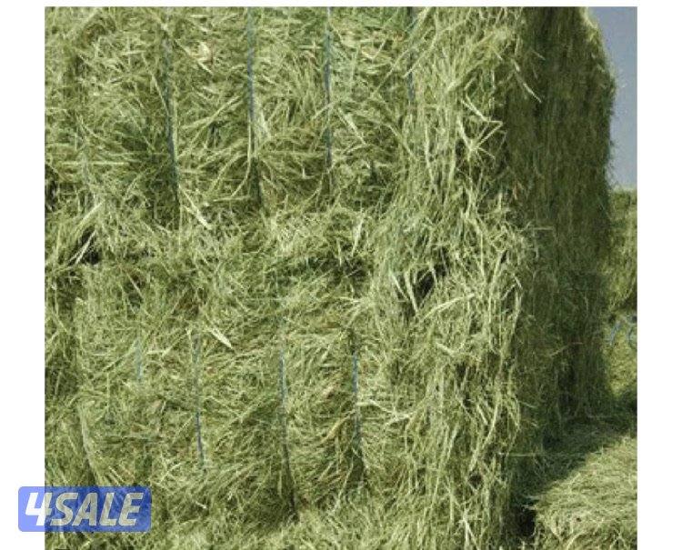 جميع محافظات الكويت2