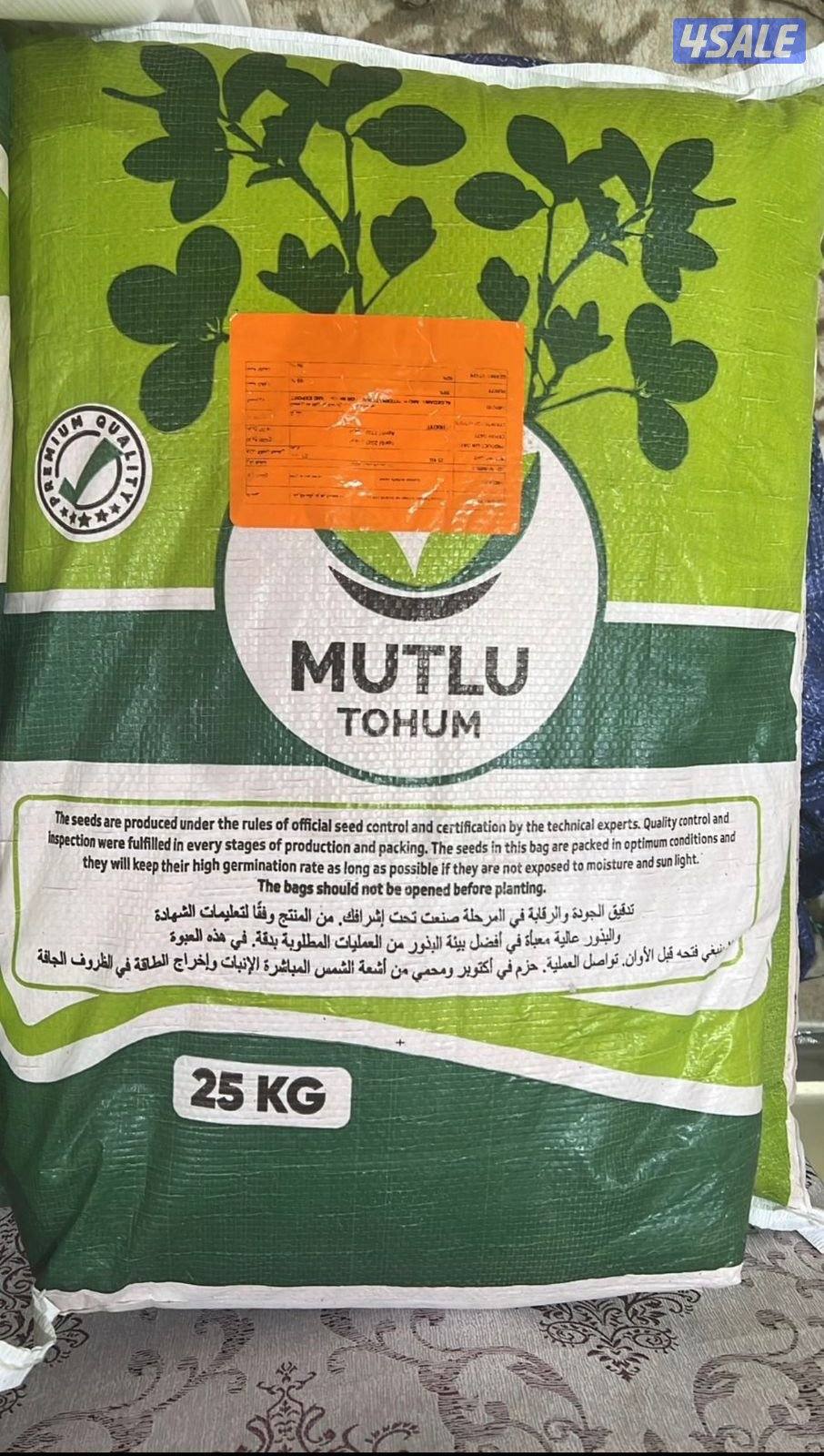 بذور برسيم تركي0