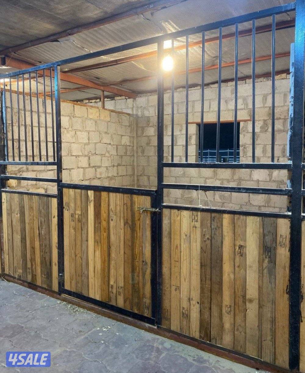 لأن الخيل تستاهل الأفضل3