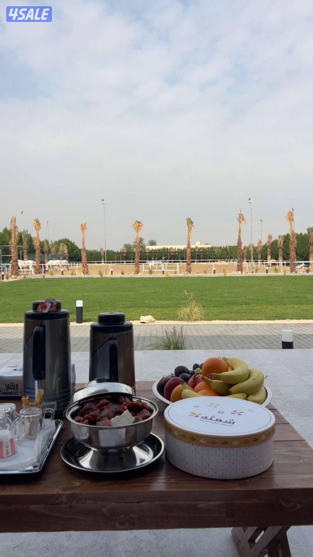 مركز النشمي للفروسية2