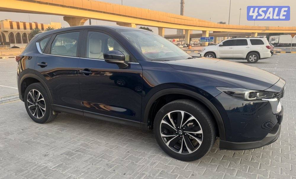 صبغ الوكاله 2023 ماشي 33 على الكفاله0