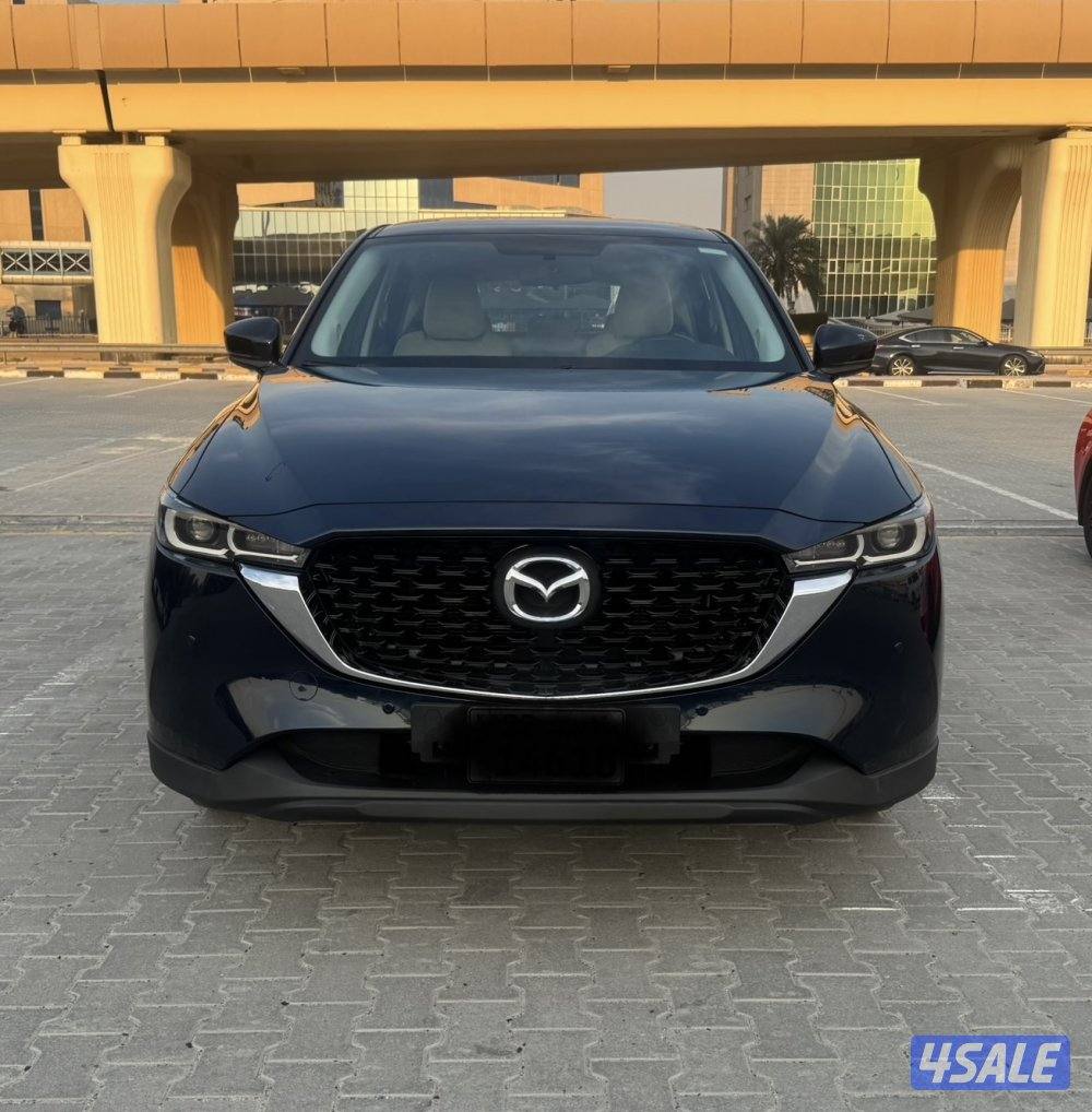 صبغ الوكاله 2023 ماشي 33 على الكفاله1