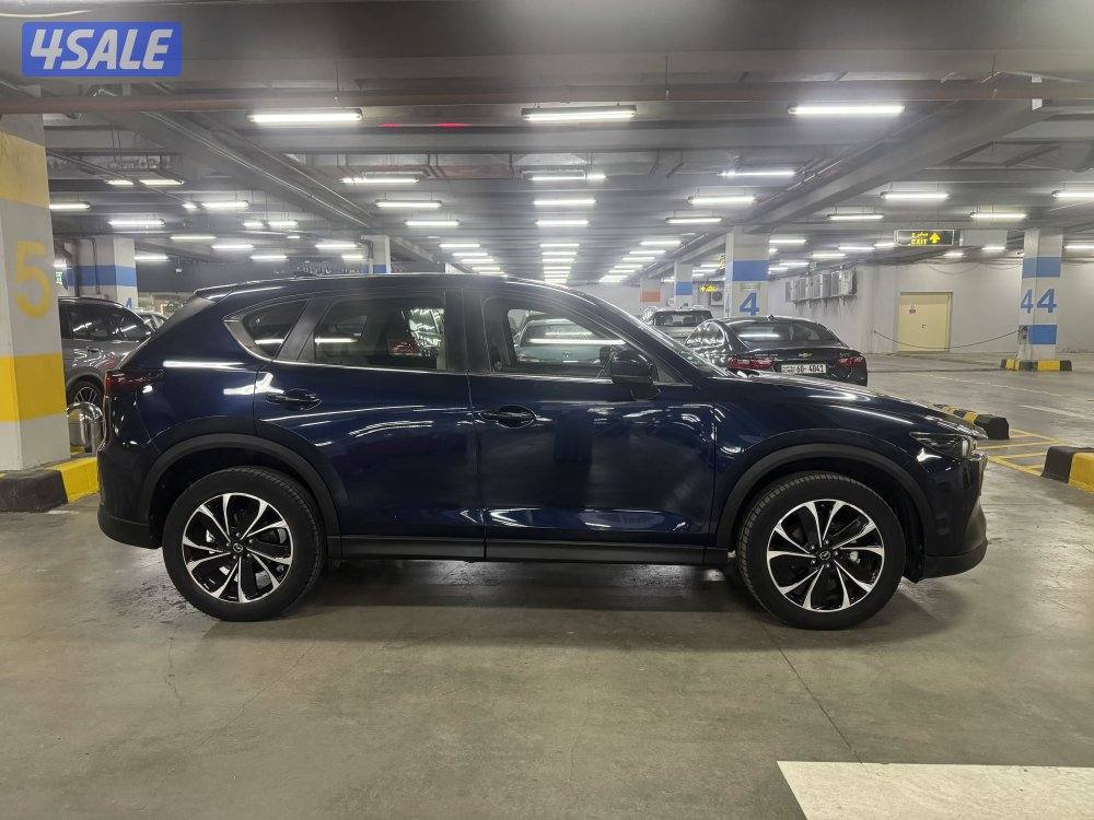 صبغ الوكاله 2023 ماشي 33 على الكفاله2