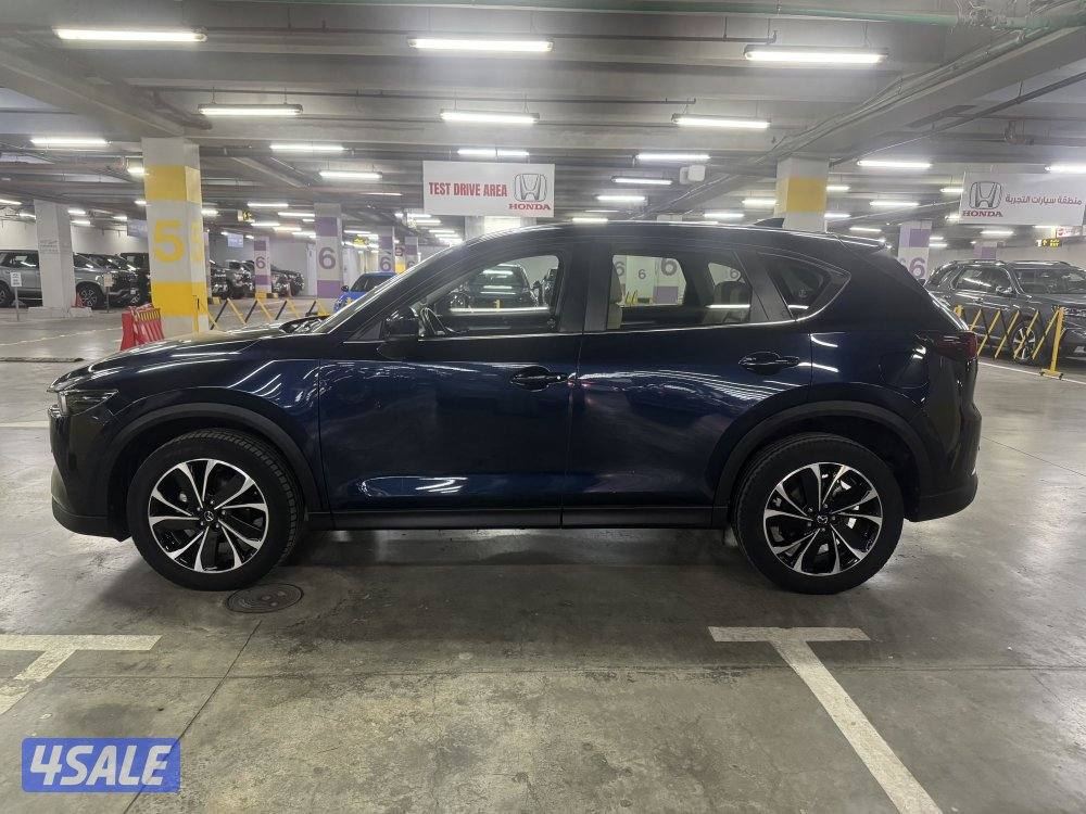 صبغ الوكاله 2023 ماشي 33 على الكفاله4