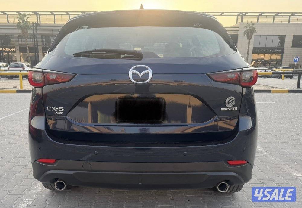 صبغ الوكاله 2023 ماشي 33 على الكفاله5