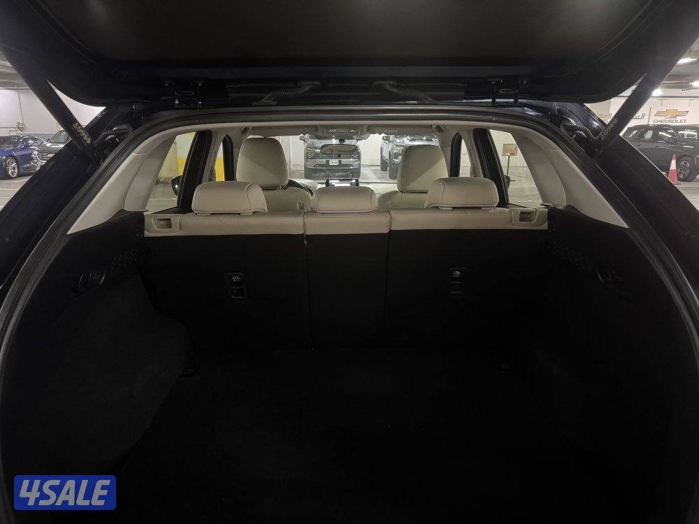 صبغ الوكاله 2023 ماشي 33 على الكفاله7