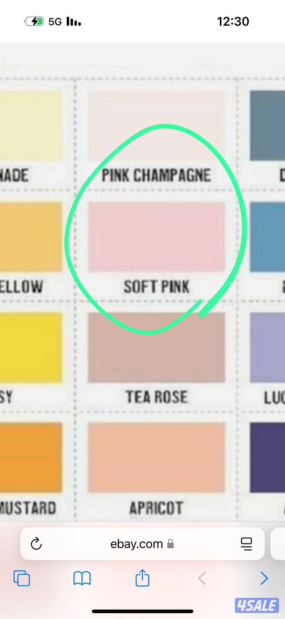 اصباغ التوحيد والنور صبغ الغرفه 20دينار3