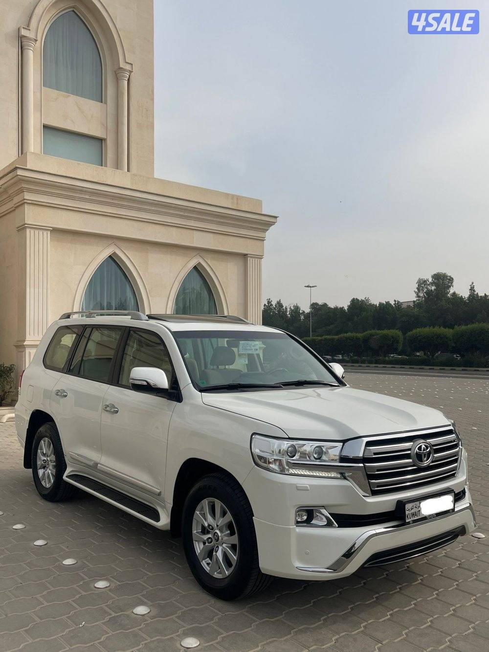 صبغ الوكاله ماشي 1351