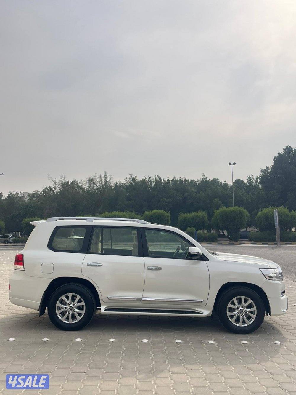 صبغ الوكاله ماشي 13510