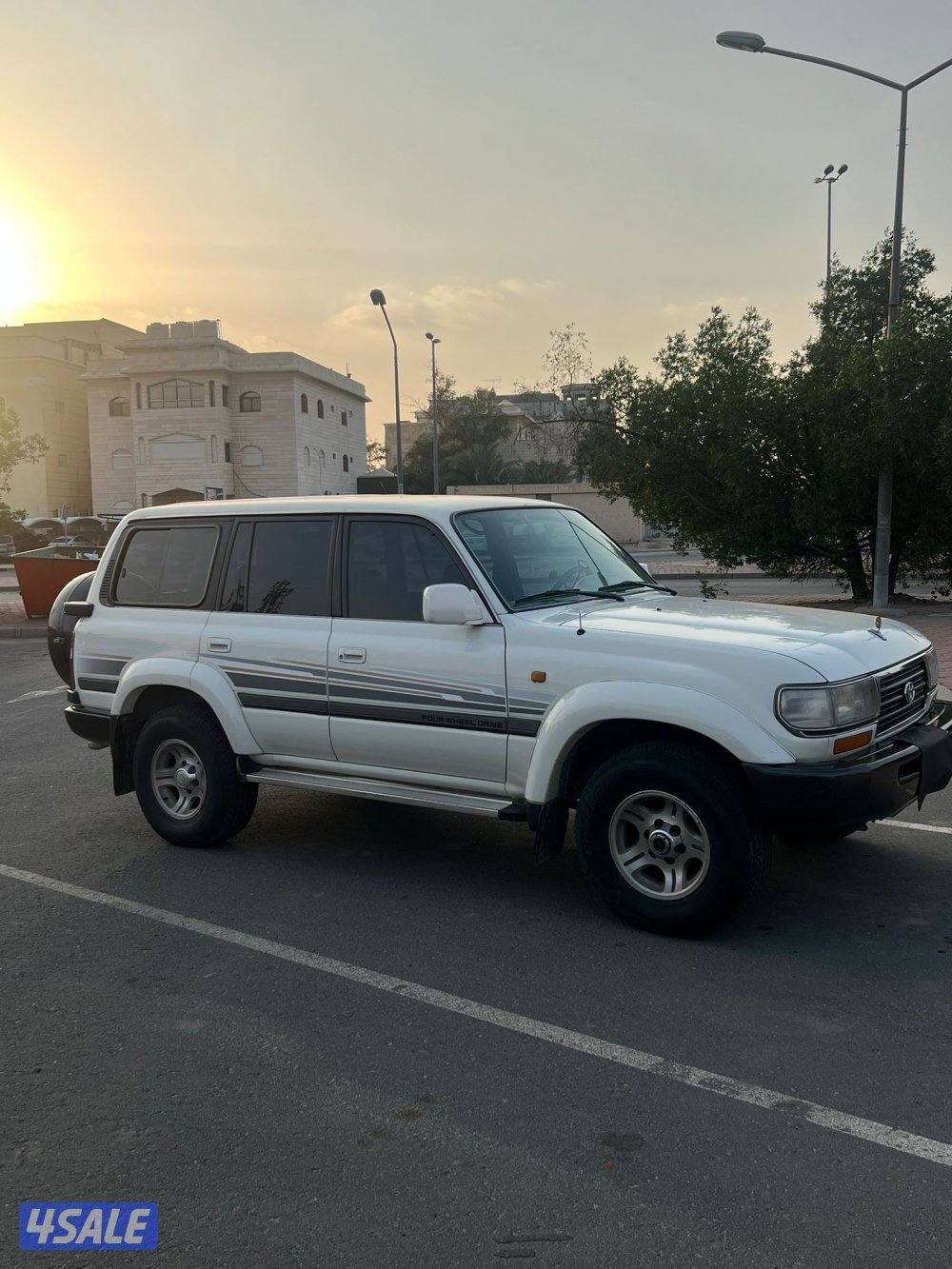 صباح الناصر2