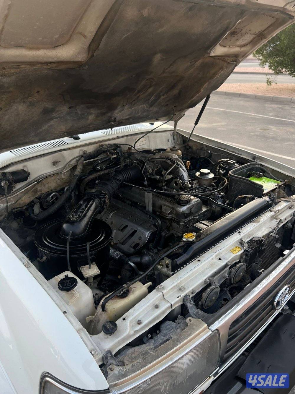 صباح الناصر8