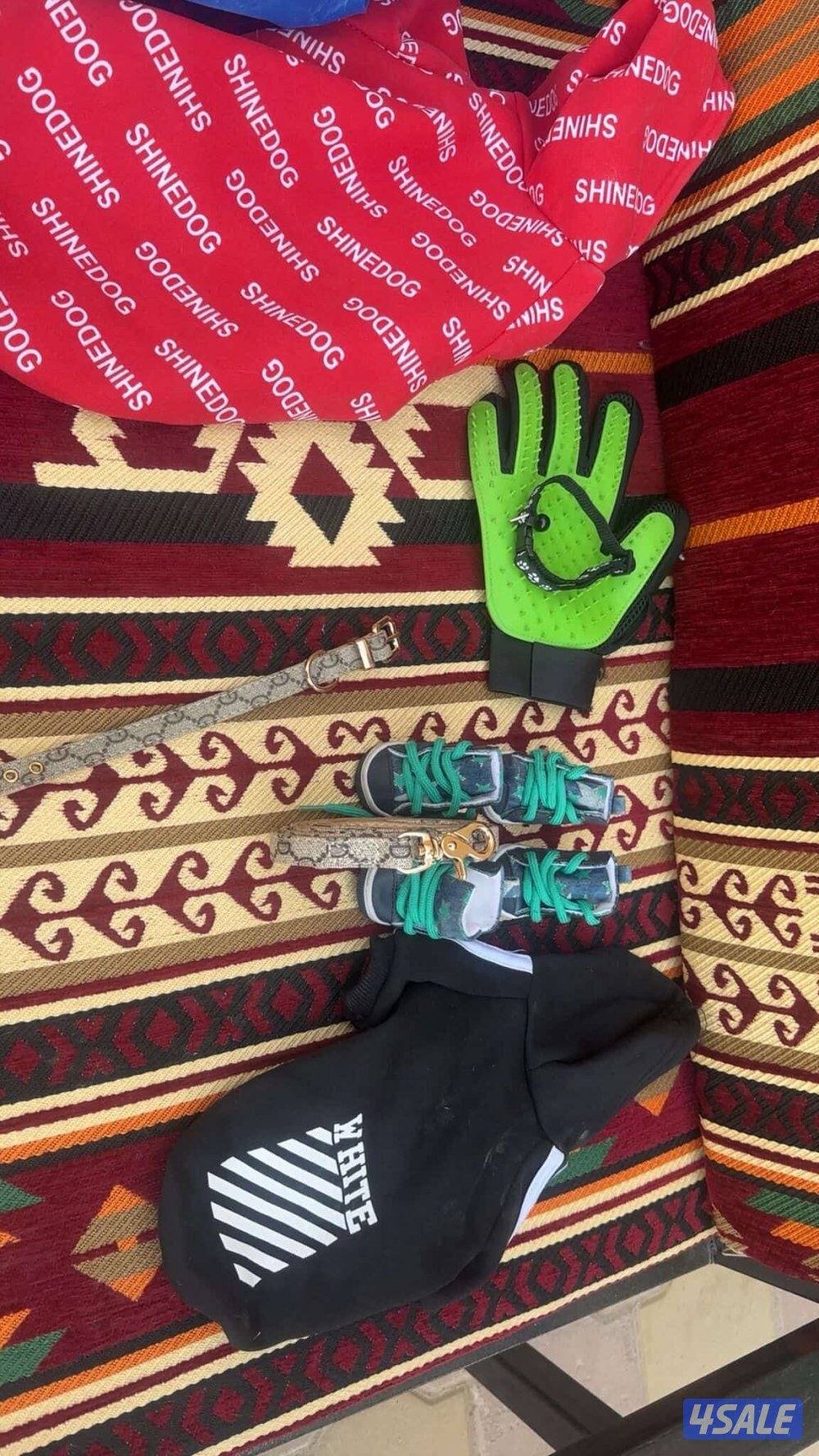 للبيع يورك شير0