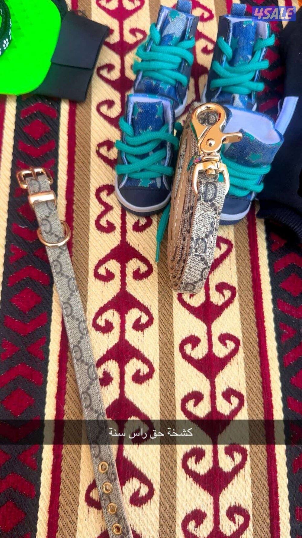 للبيع يورك شير3