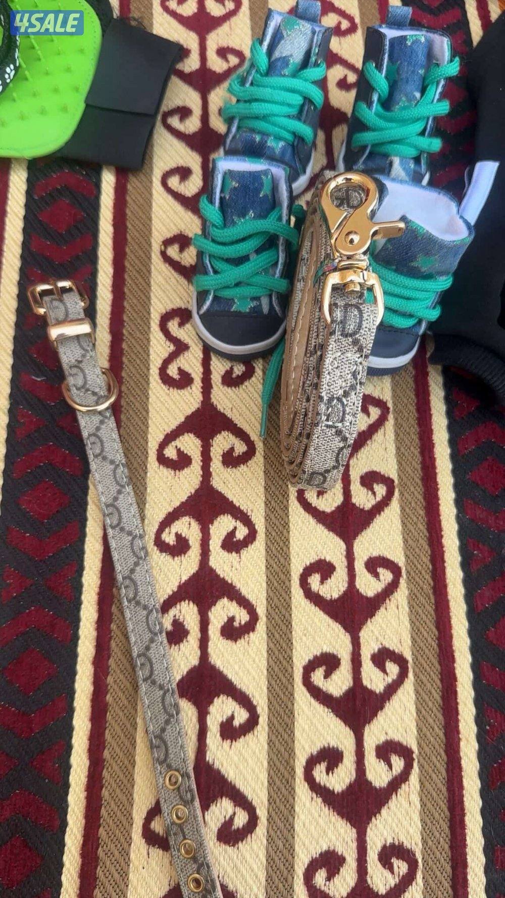 للبيع يورك شير8