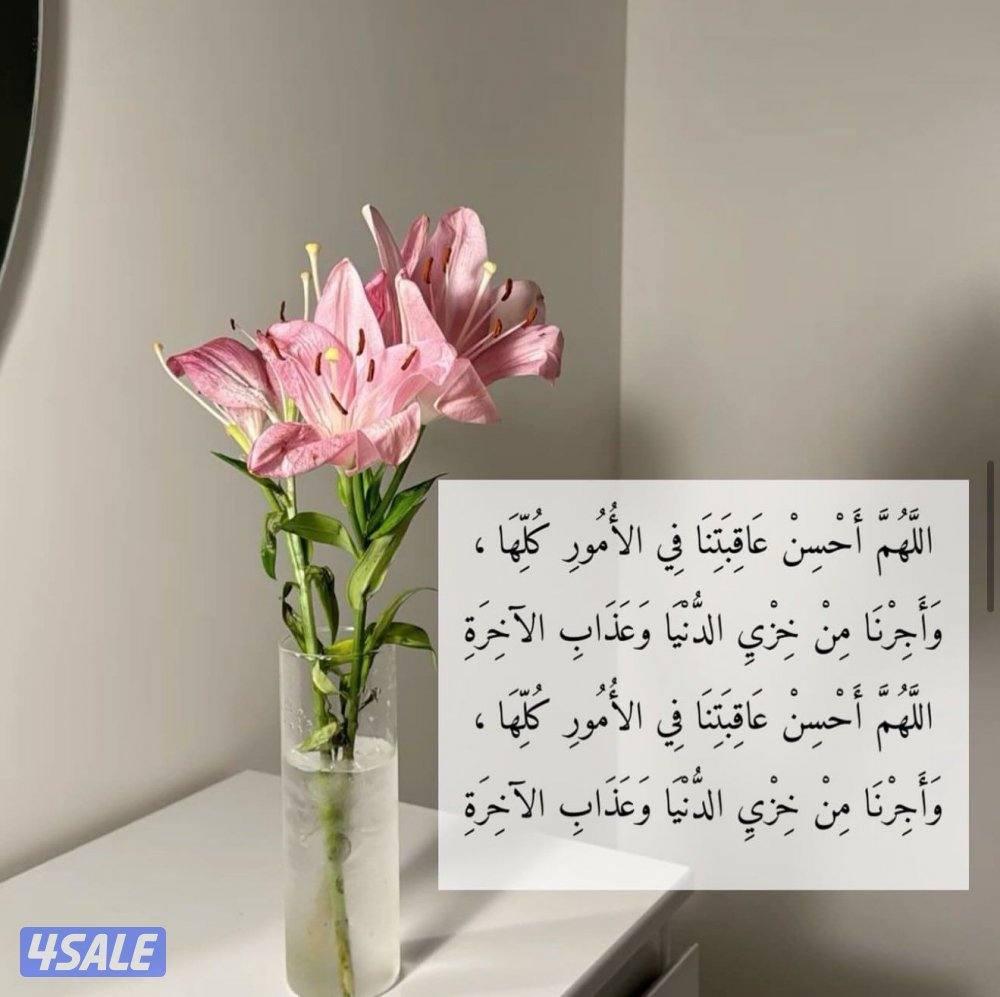 للايجار وافدين شقه غرفتين بالرقه قطعه ٦0