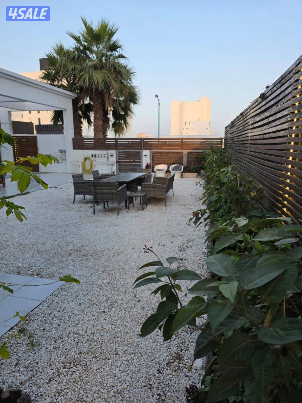 لا يوجد  سنوي2