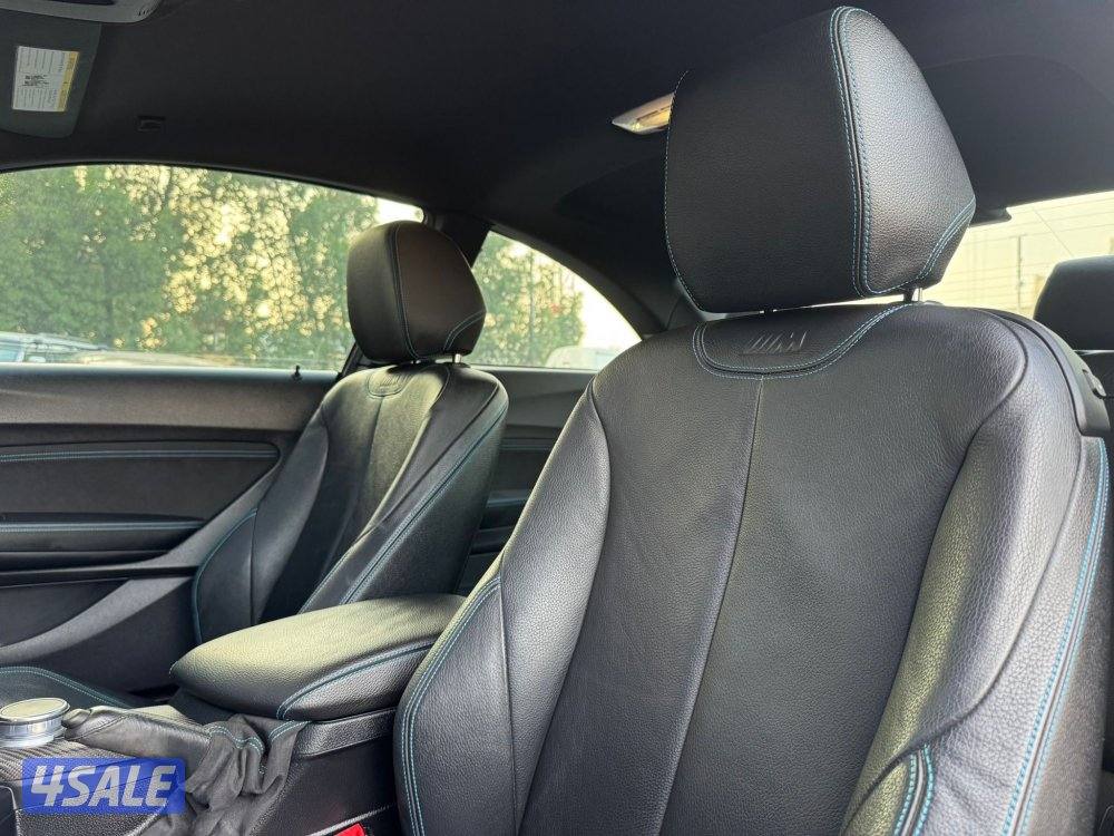 BMW M2 _2017 صبغ الوكالة7