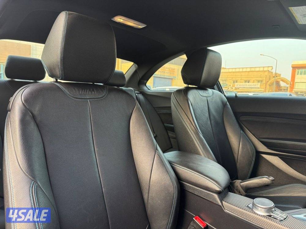 BMW M2 _2017 صبغ الوكالة8