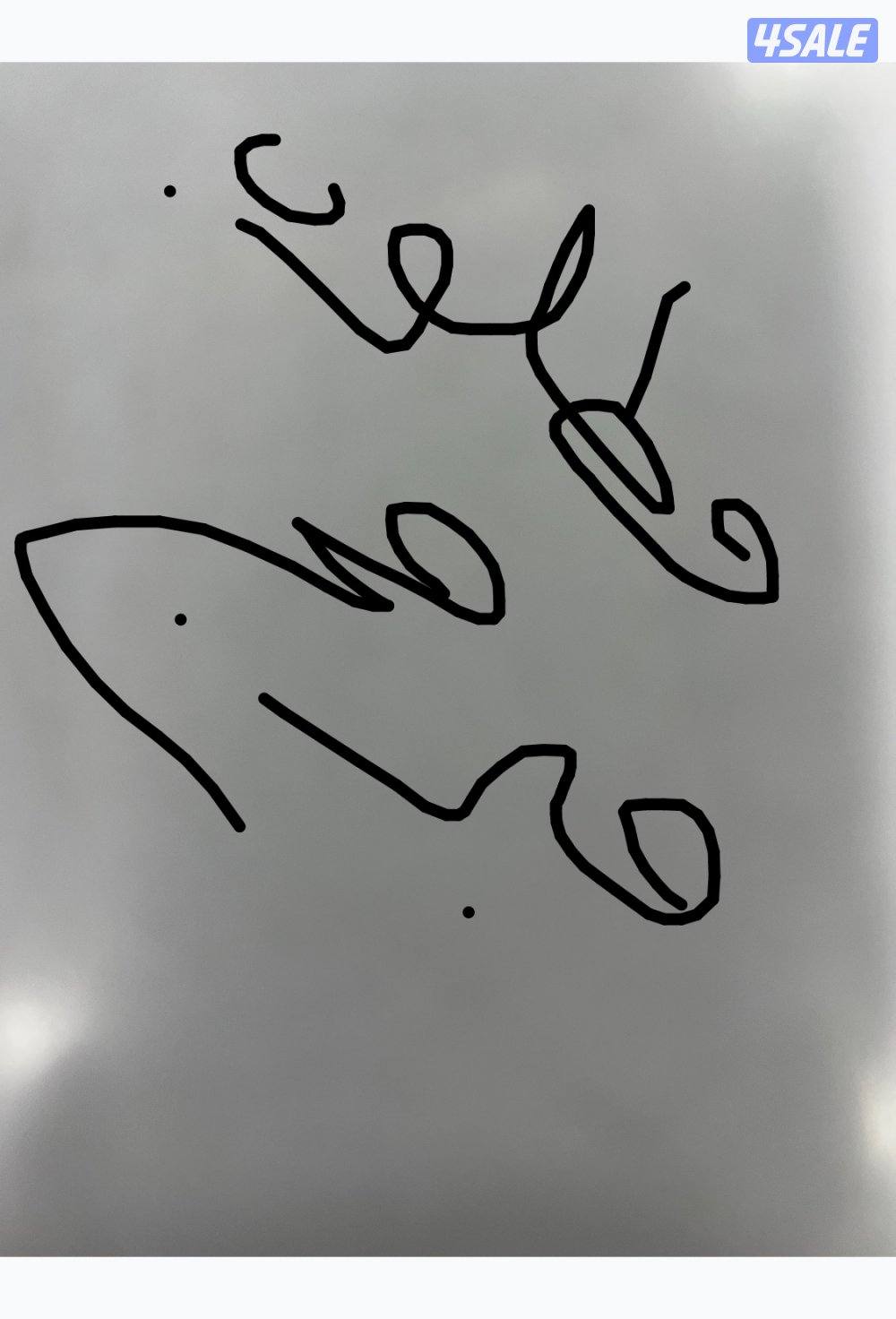 مطلوب مبرمج0