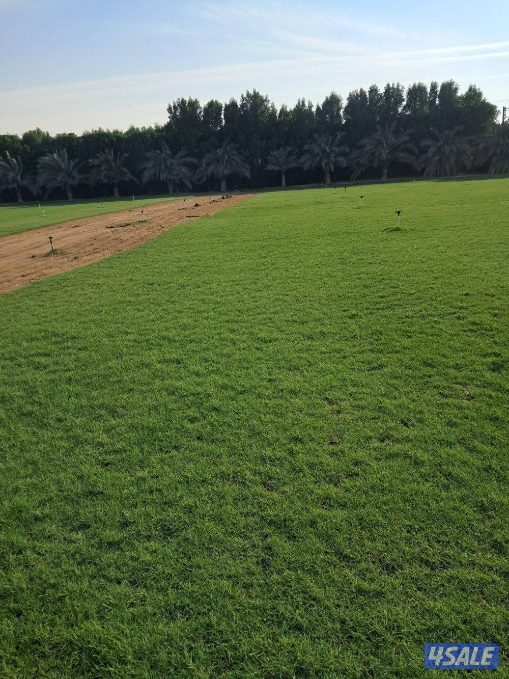 بيع وتركيب الثيل الصناعي والطبيعي وشبكات الري والسياج التركي1