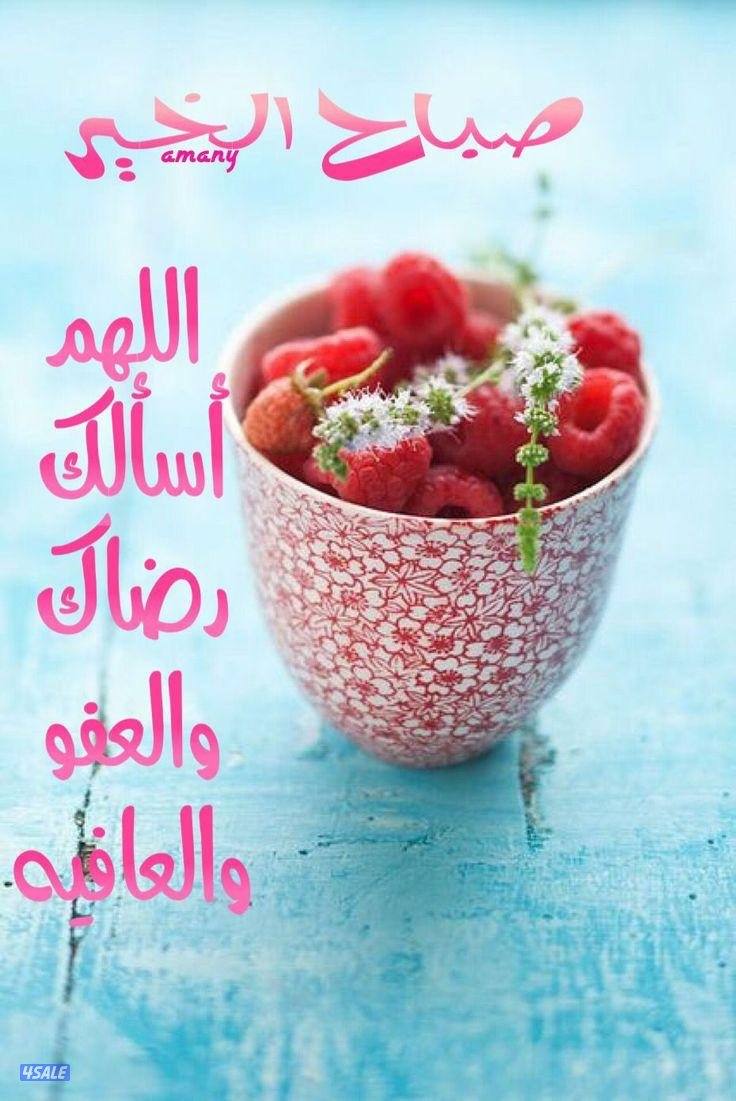 لأيجار شقه ارضيه بأم الهيمان مدخل مستقل مع حوش صغير غرفتين وصاله ومطبخ0