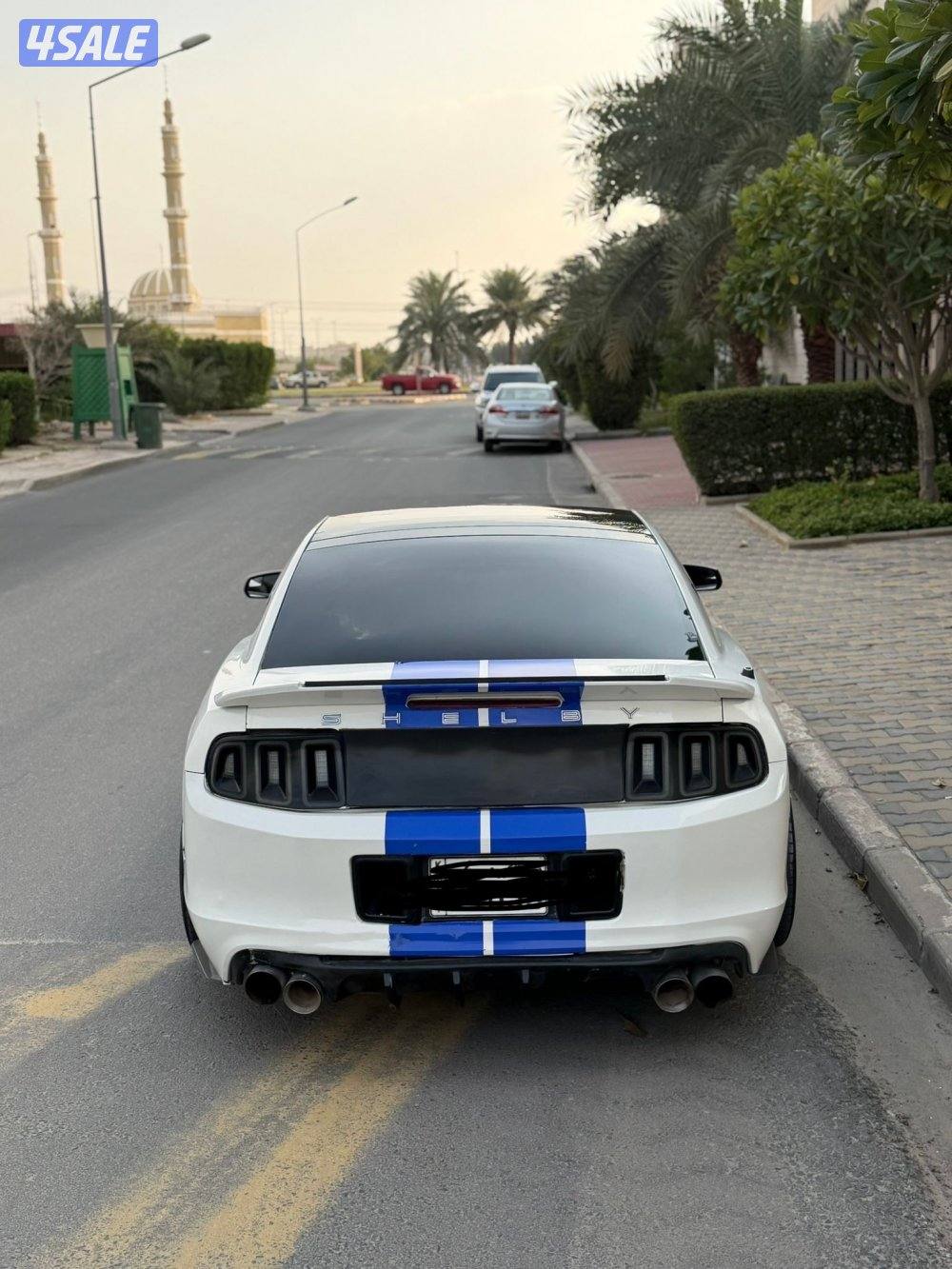 موستنق 5.0 قير عادس1