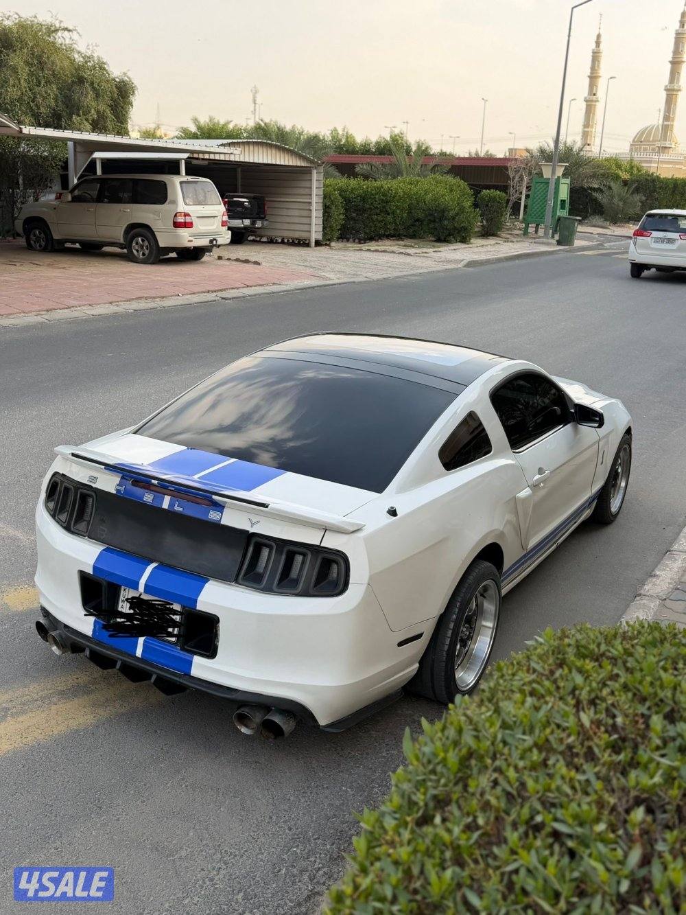 موستنق 5.0 قير عادس3