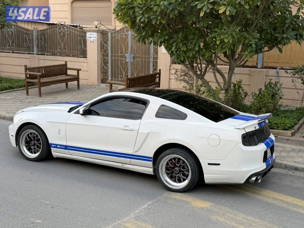 موستنق 5.0 قير عادس4