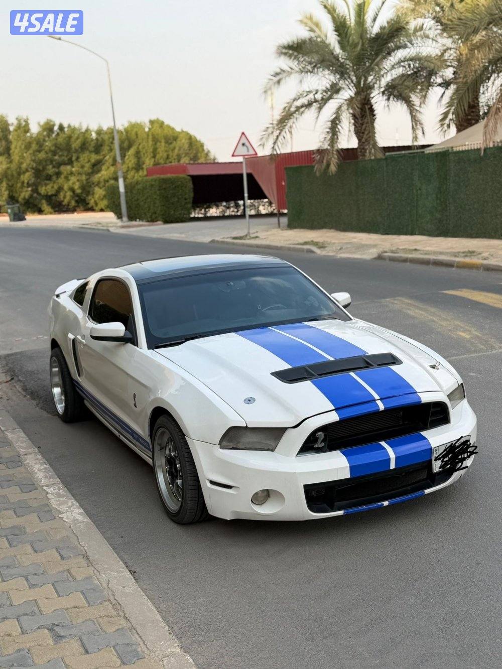 موستنق 5.0 قير عادس5