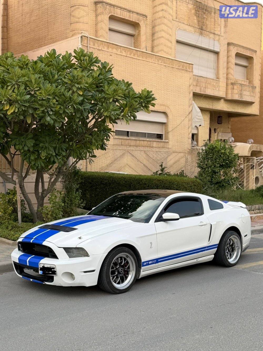 موستنق 5.0 قير عادس6