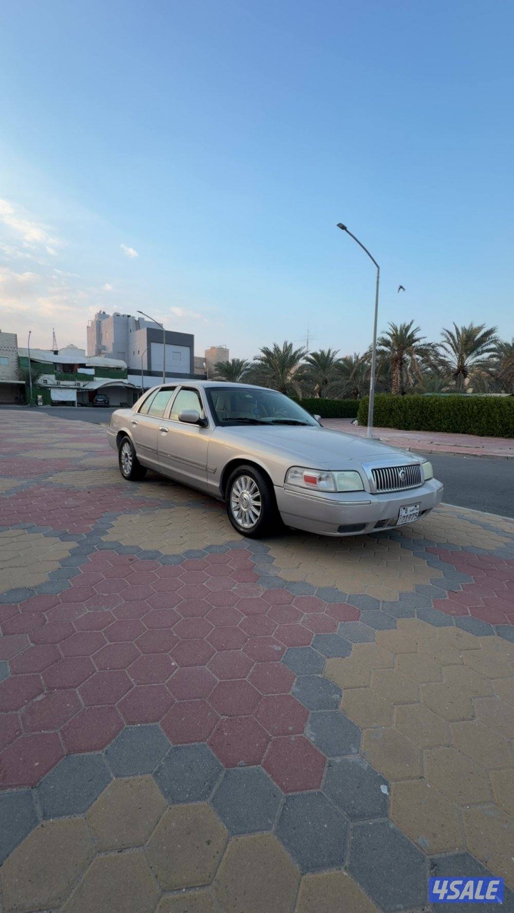 شرط بالكامل صبغ وكاله0